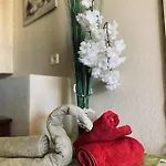Perfecto Ambiente Desconectar בניסה